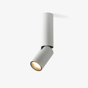 Julian Adjustable Surface Downlight - Blowlighting