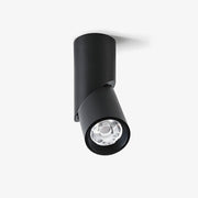 Maxwell Pivot Surface Downlight - Blowlighting