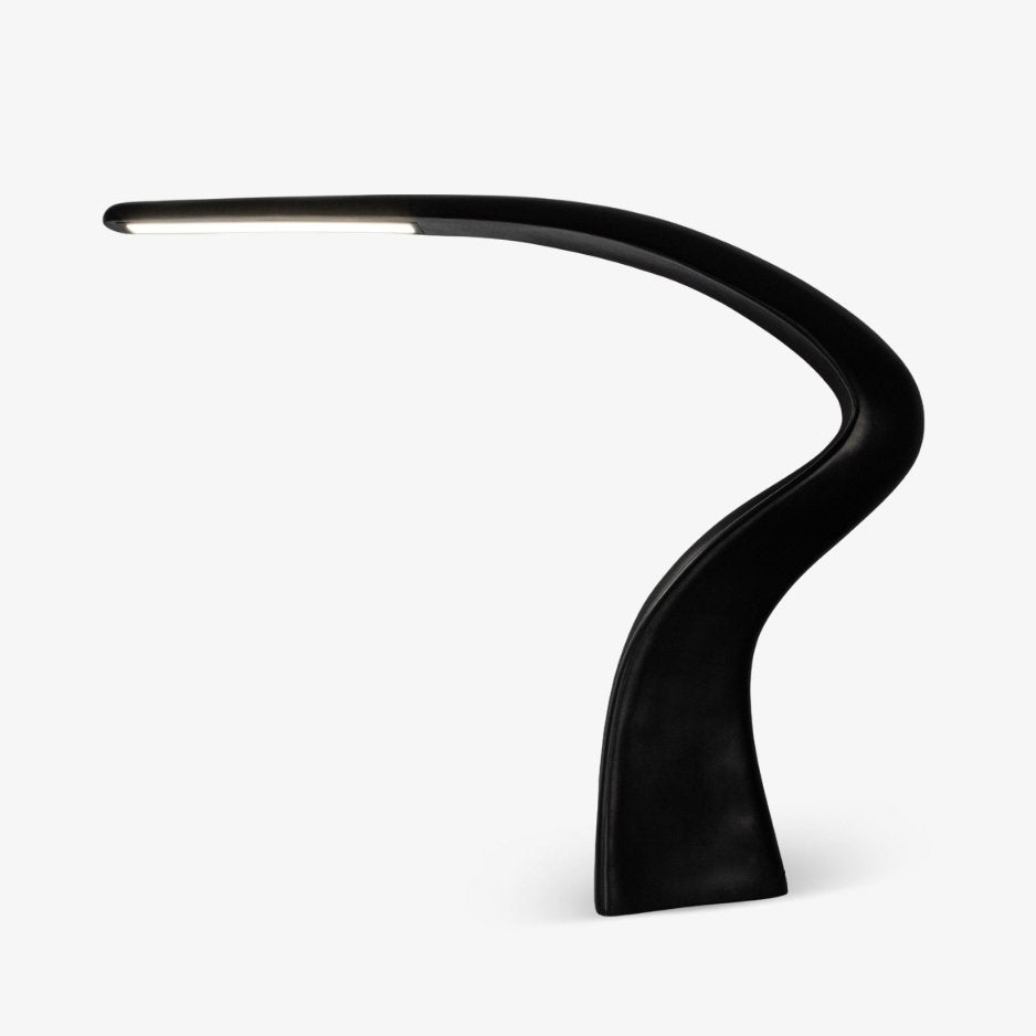 Seraph Curve Floor Lamp - Blowlighting