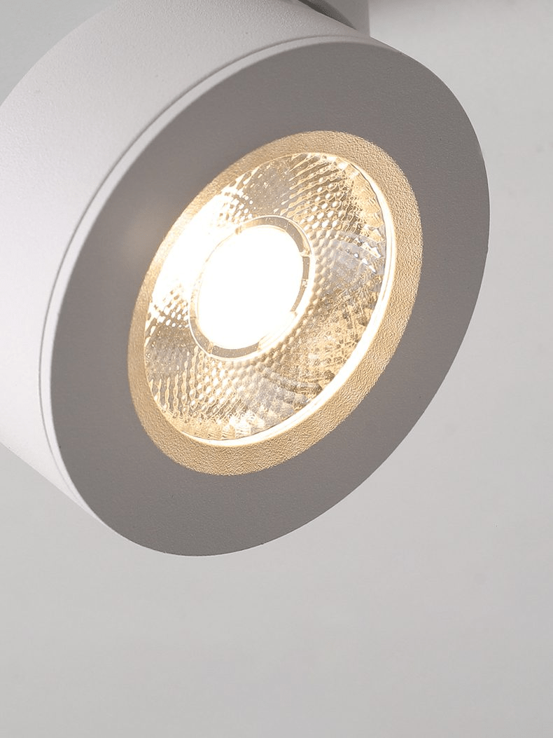 Round Rotating LED Downlight - Blowlighting