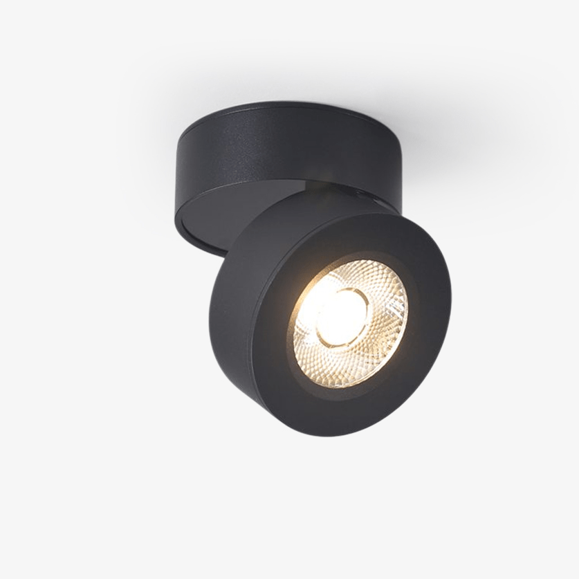 Round Rotating LED Downlight - Blowlighting