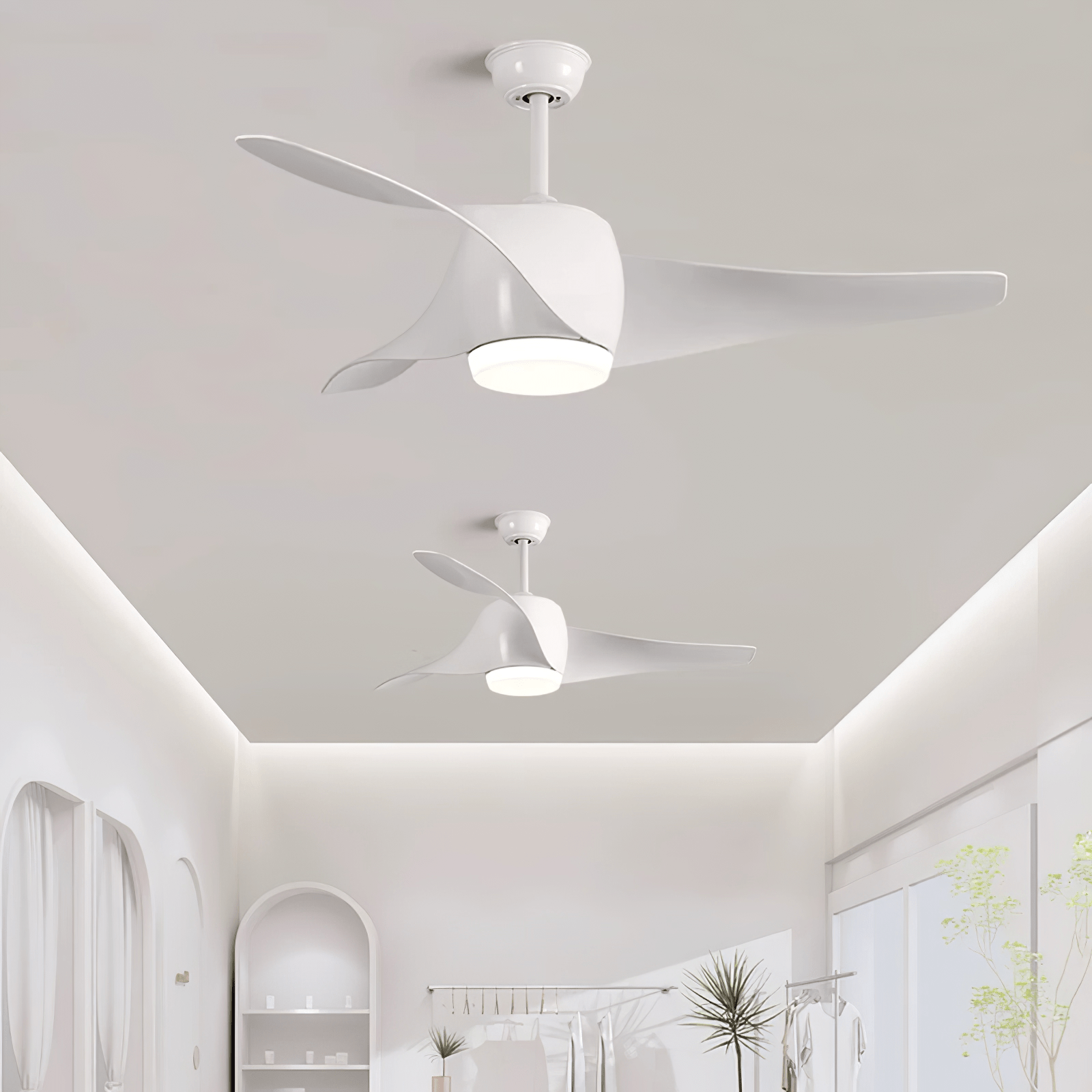 Eden Ceiling Fan Light - Blowlighting