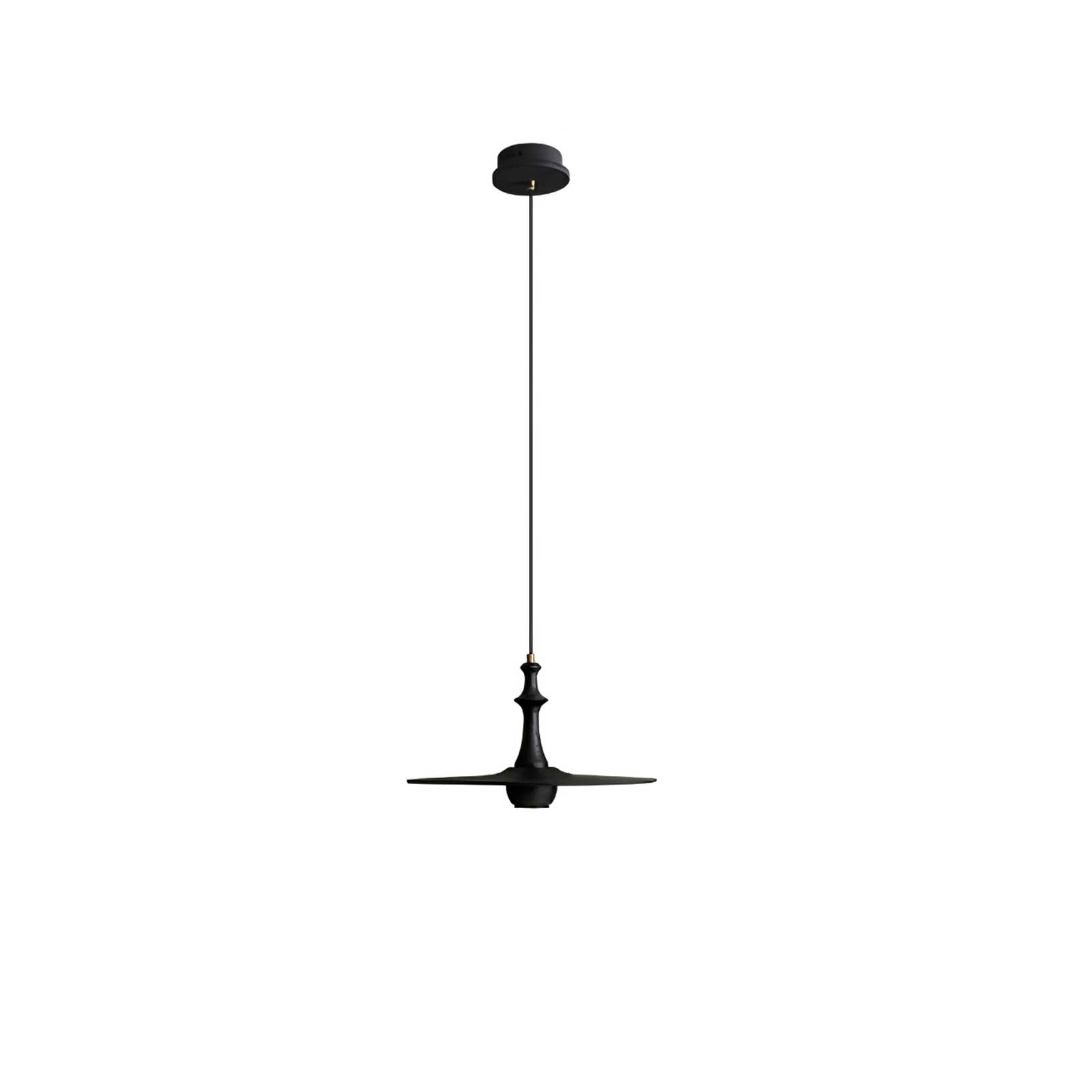 Wooden Spin Pendant Light - Blowlighting