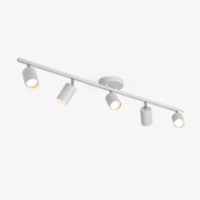 Evanna Ceiling Light - Blowlighting