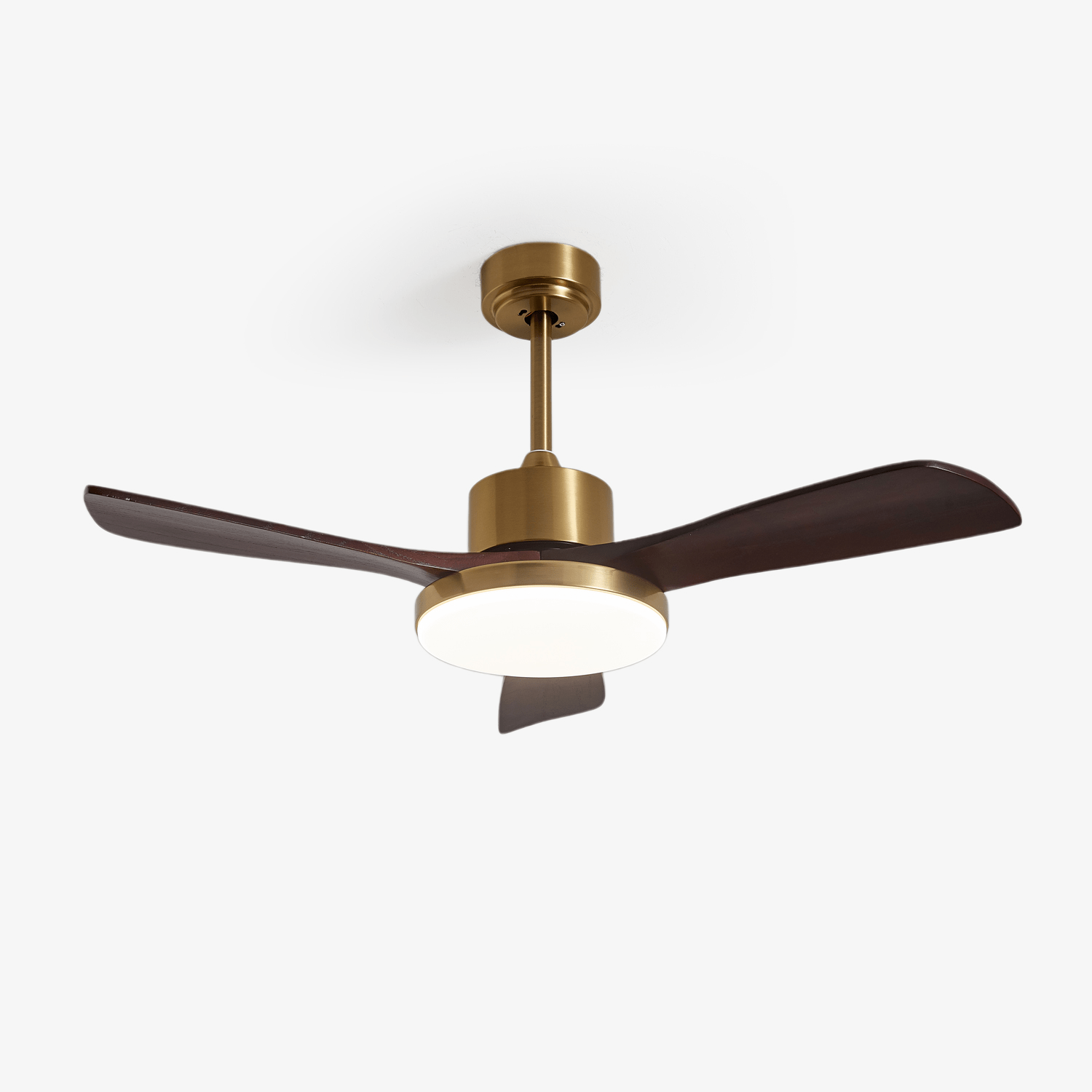 Aurelia Modern Wood Ceiling Fan Light - Blowlighting