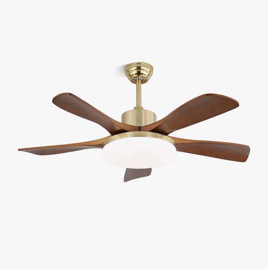 Elara Modern Brass Wood Ceiling Fan Light - Blowlighting