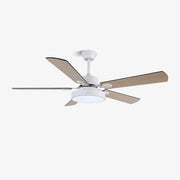 Aveline Modern Wood Ceiling Fan Light - Blowlighting