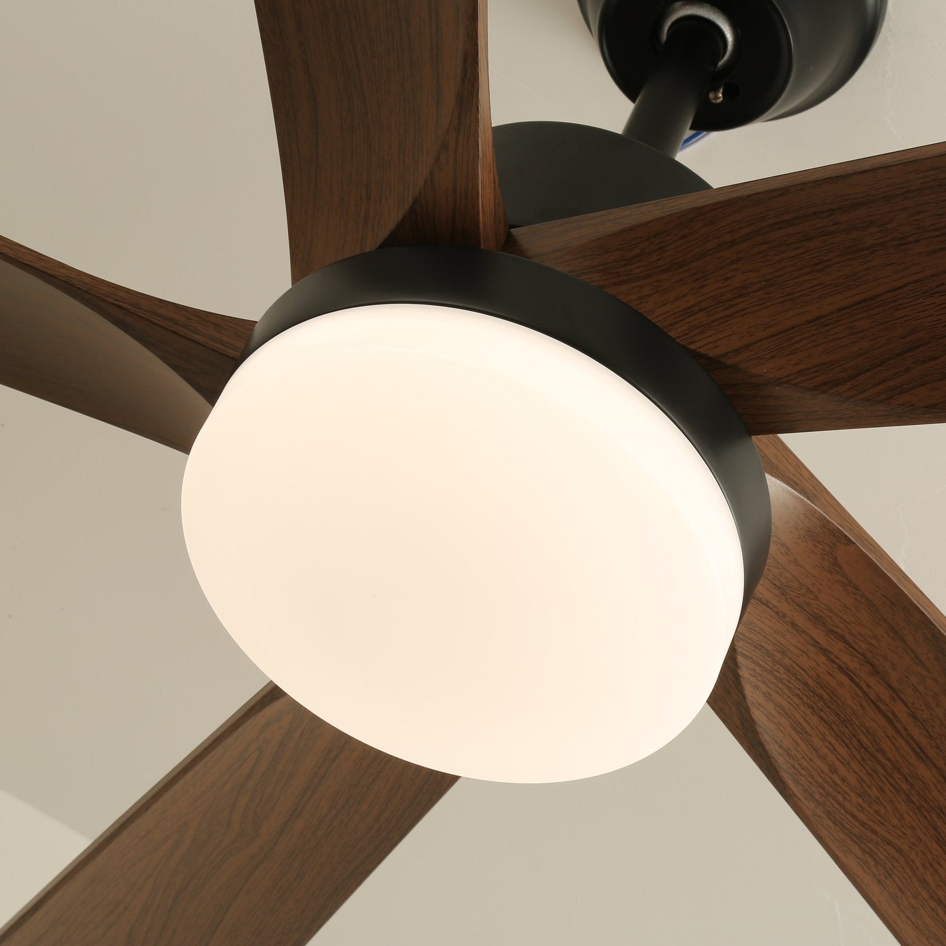 Eryndor Modern Wood Ceiling Fan Light - Blowlighting