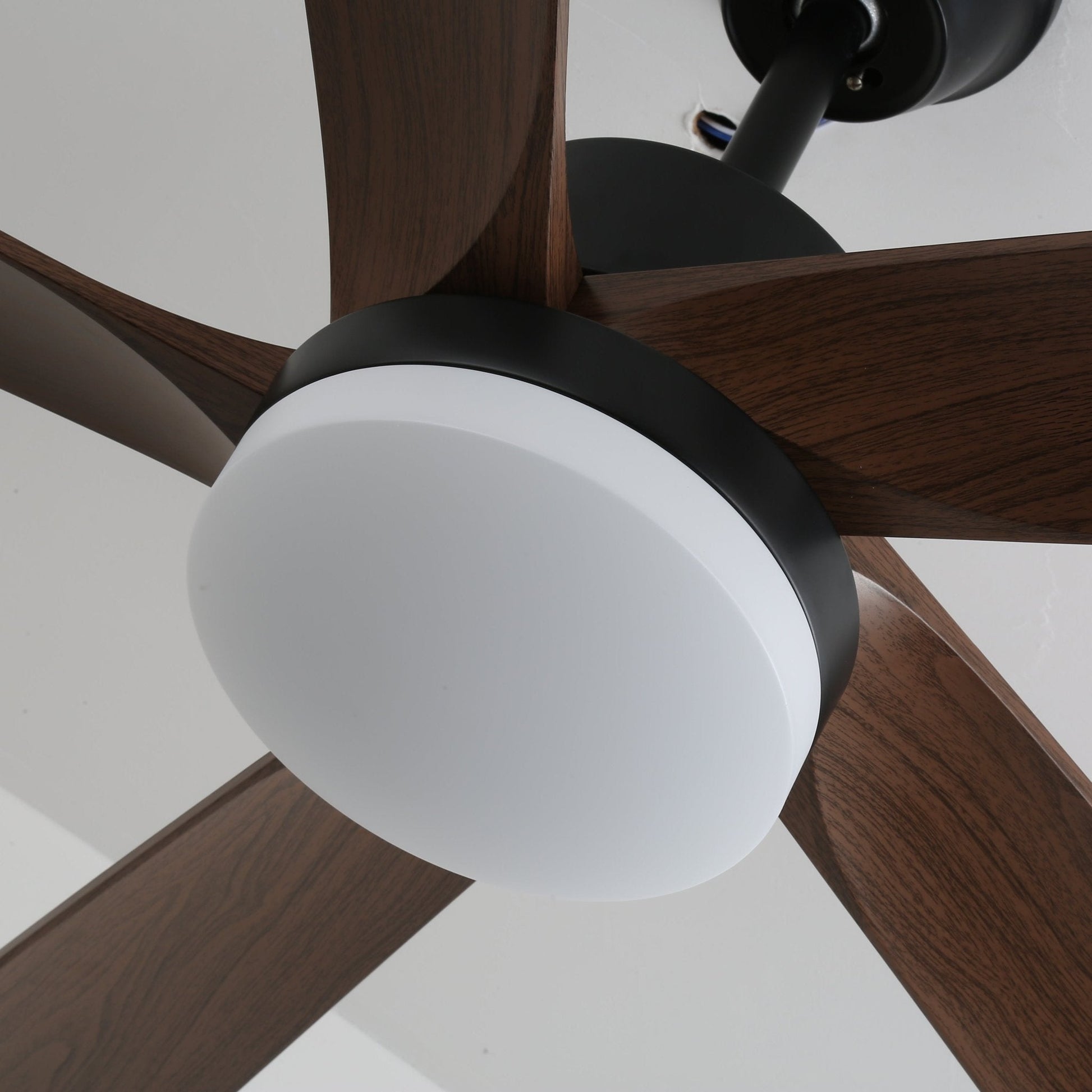Eryndor Modern Wood Ceiling Fan Light - Blowlighting
