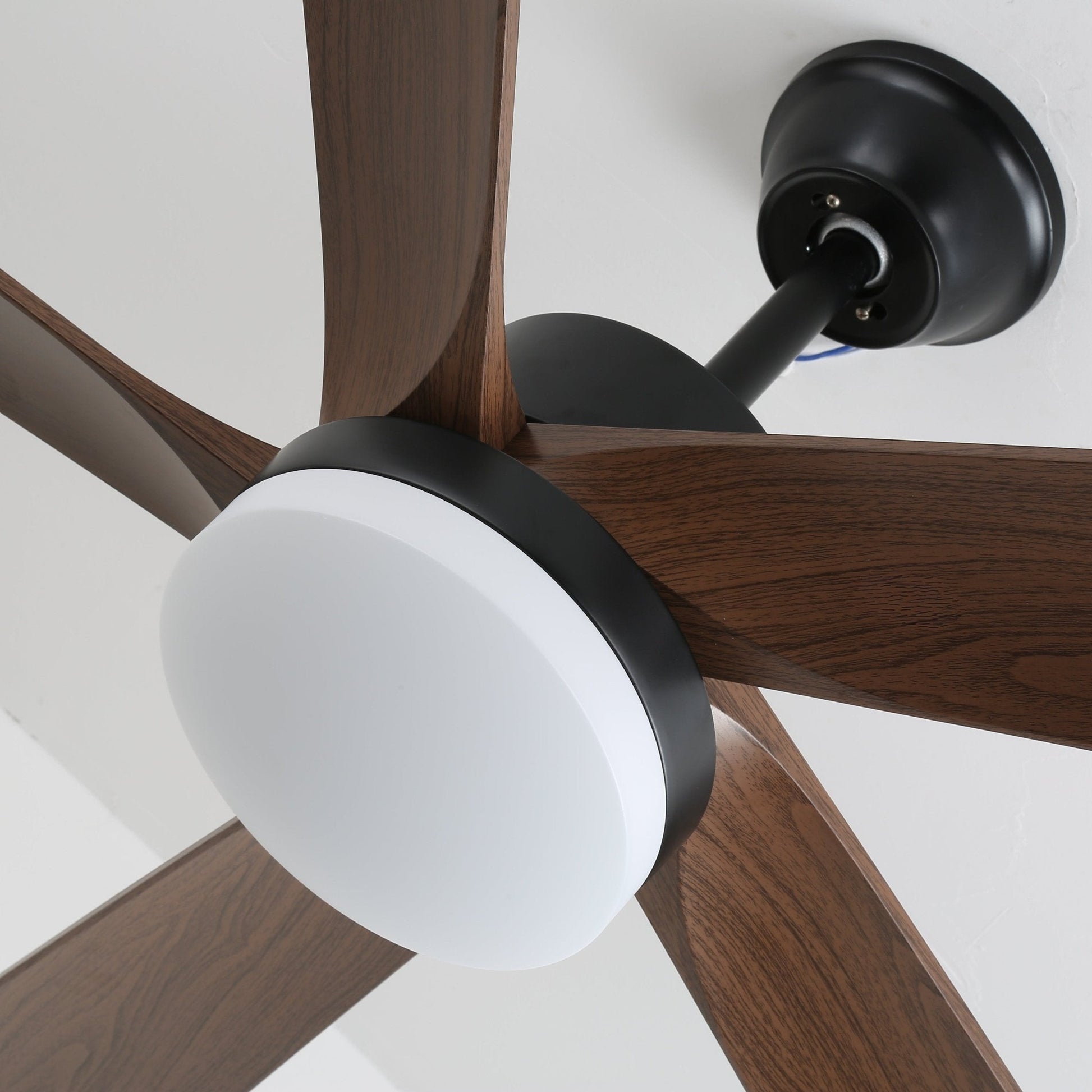 Eryndor Modern Wood Ceiling Fan Light - Blowlighting