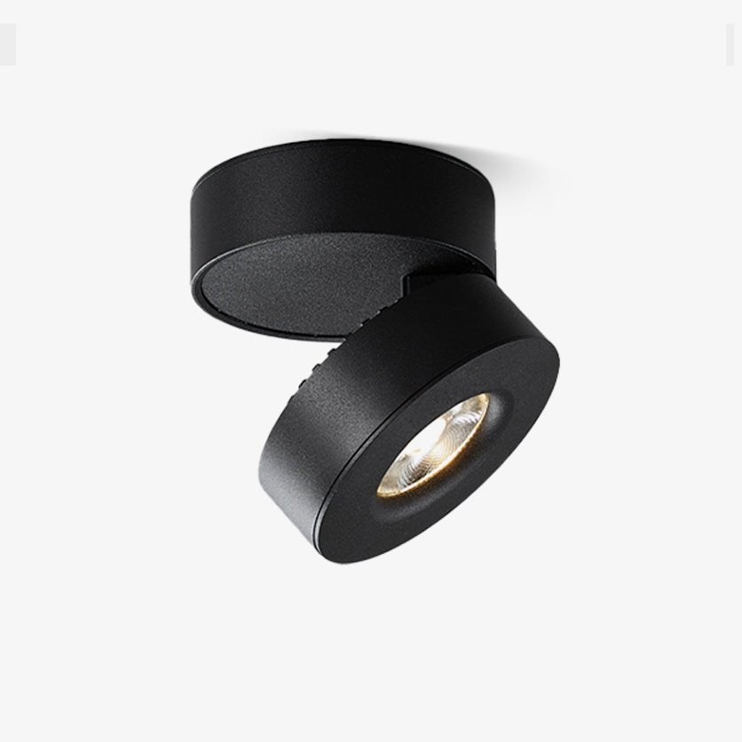 Lyric Adjustable Surface Downlight - Blowlighting