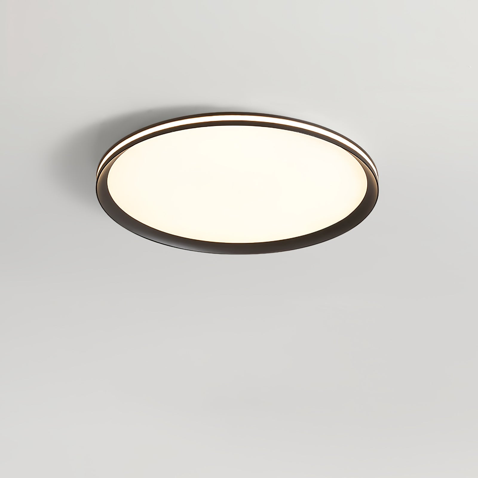 Acrylic Circular LED Ceiling Light - Blowlighting