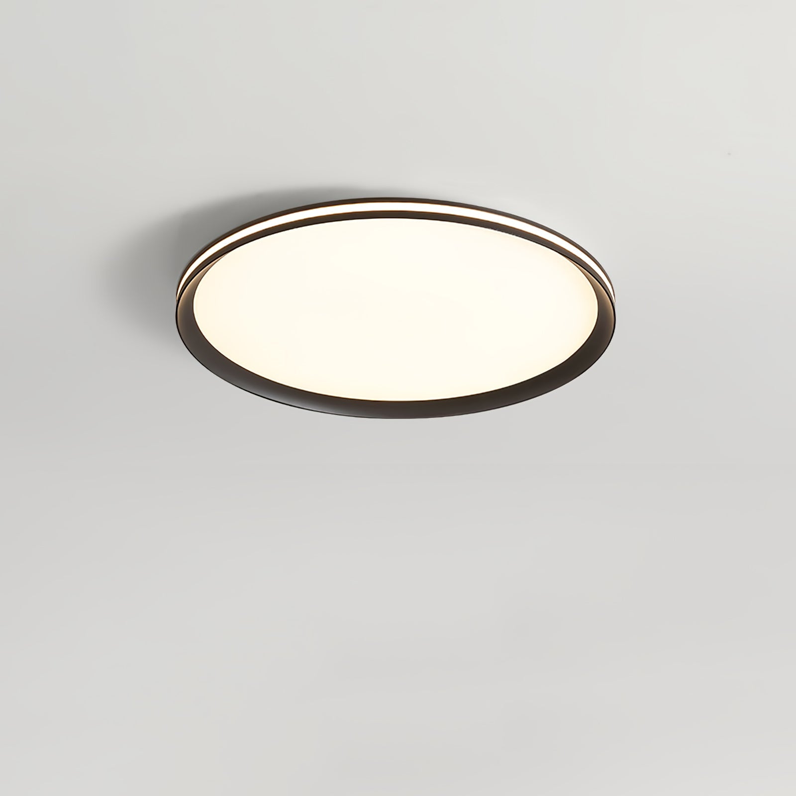 Acrylic Circular LED Ceiling Light - Blowlighting