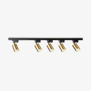 Adjustable Spotlight Track Ceiling Light - Blowlighting