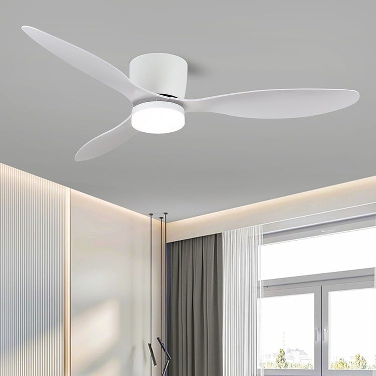 Nerio Minimalist Wood Ceiling Fan Light - Blowlighting