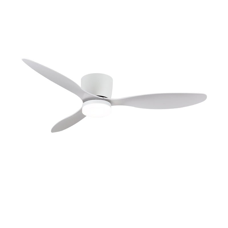 Nerio Minimalist Wood Ceiling Fan Light - Blowlighting