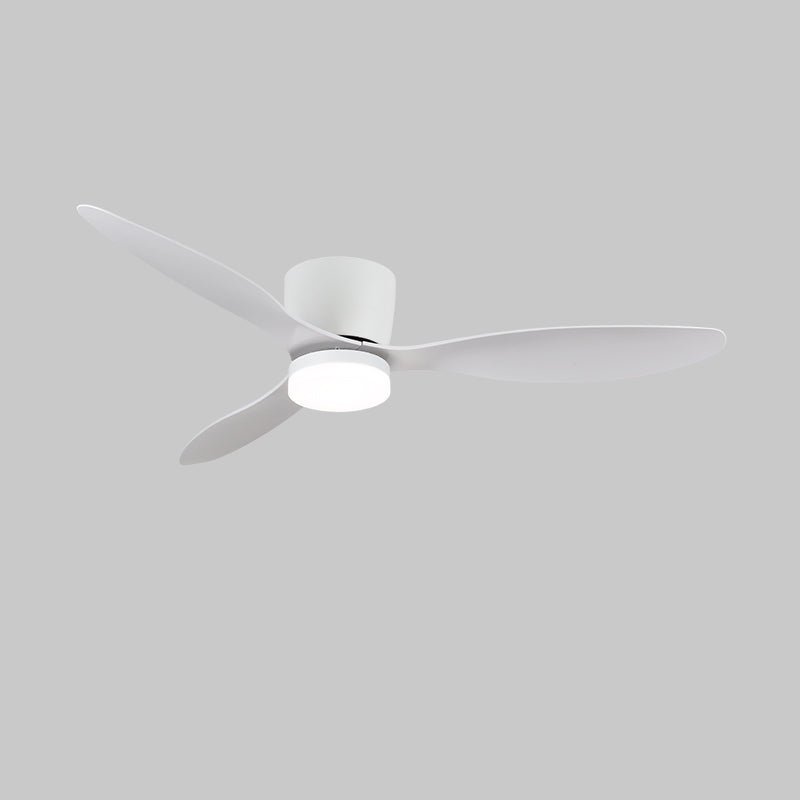 Nerio Minimalist Wood Ceiling Fan Light - Blowlighting