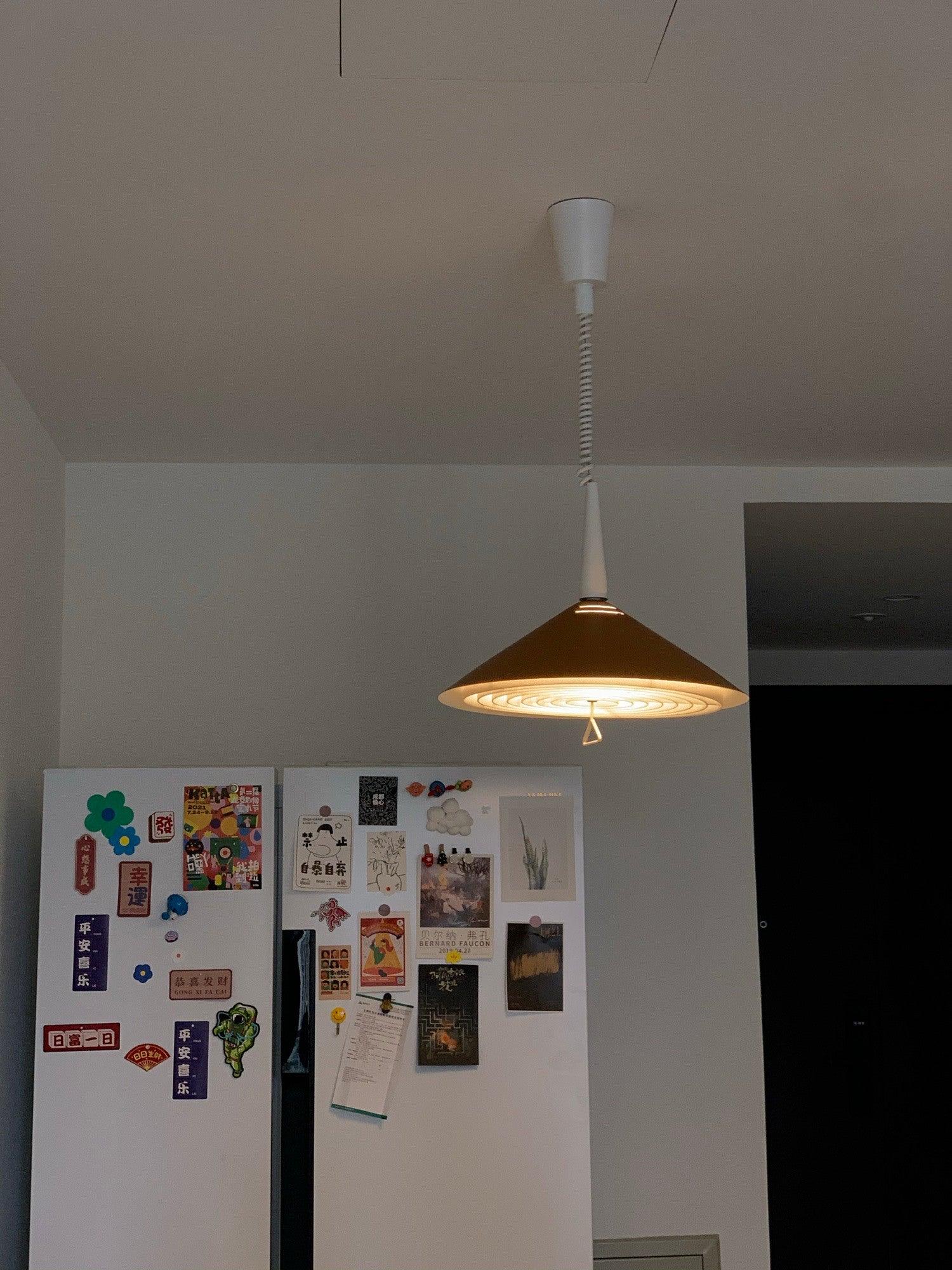 Agnes Retro Pendant Lamp - Blowlighting