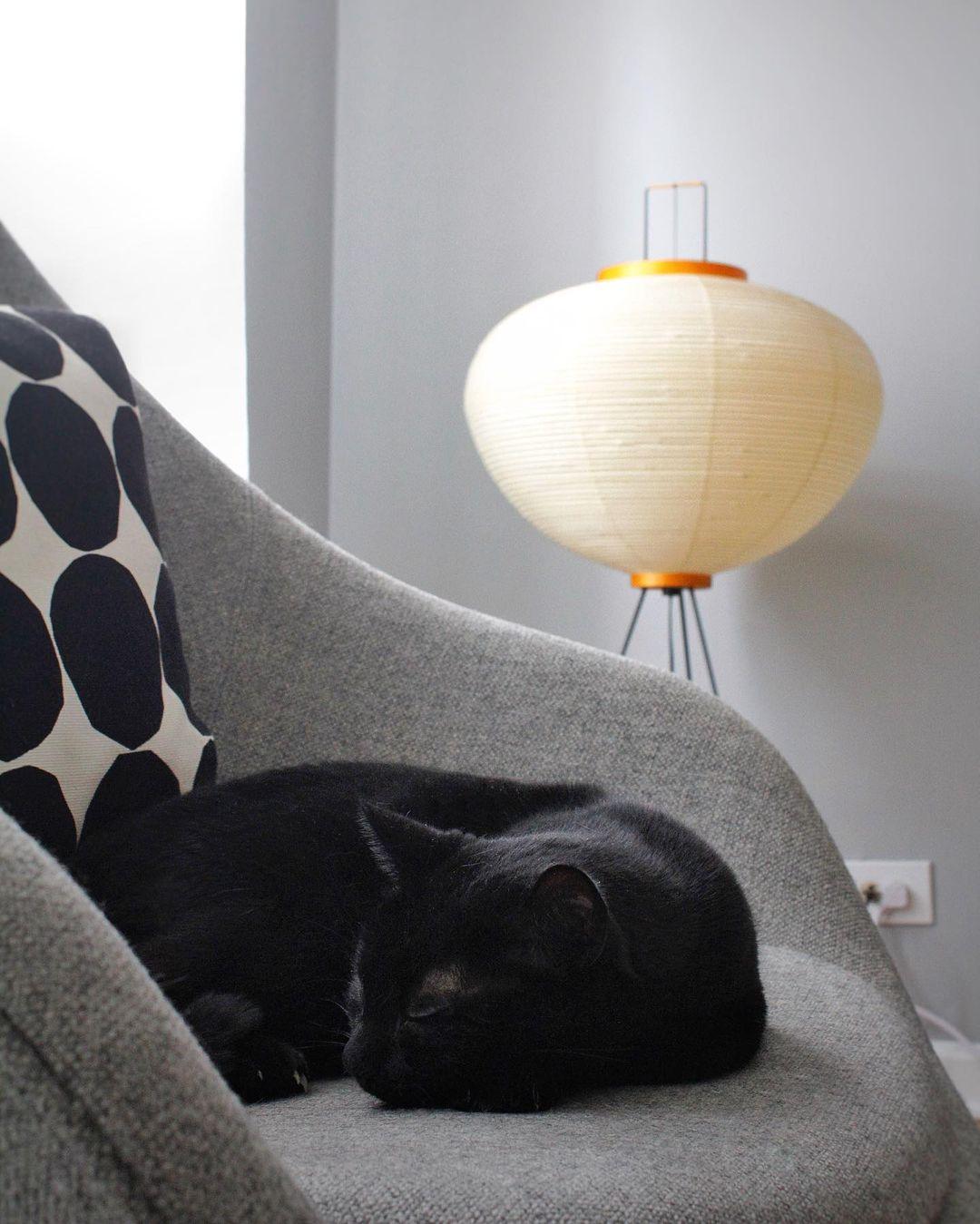 Rice Paper Floor Lamp - Blowlighting