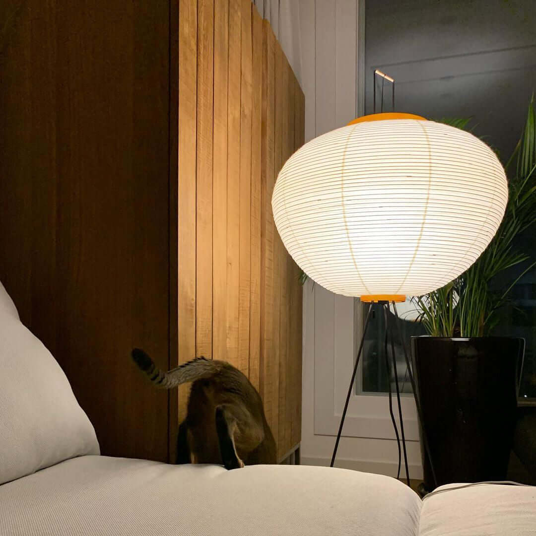 Rice Paper Floor Lamp - Blowlighting