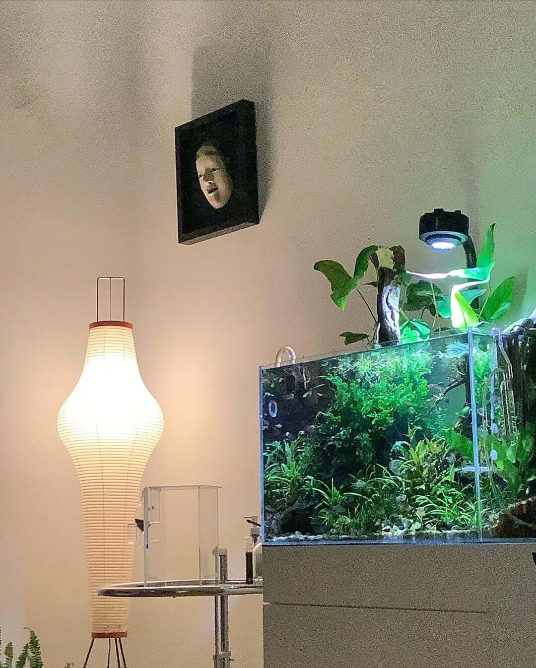 Rice Paper Floor Lamp - Blowlighting