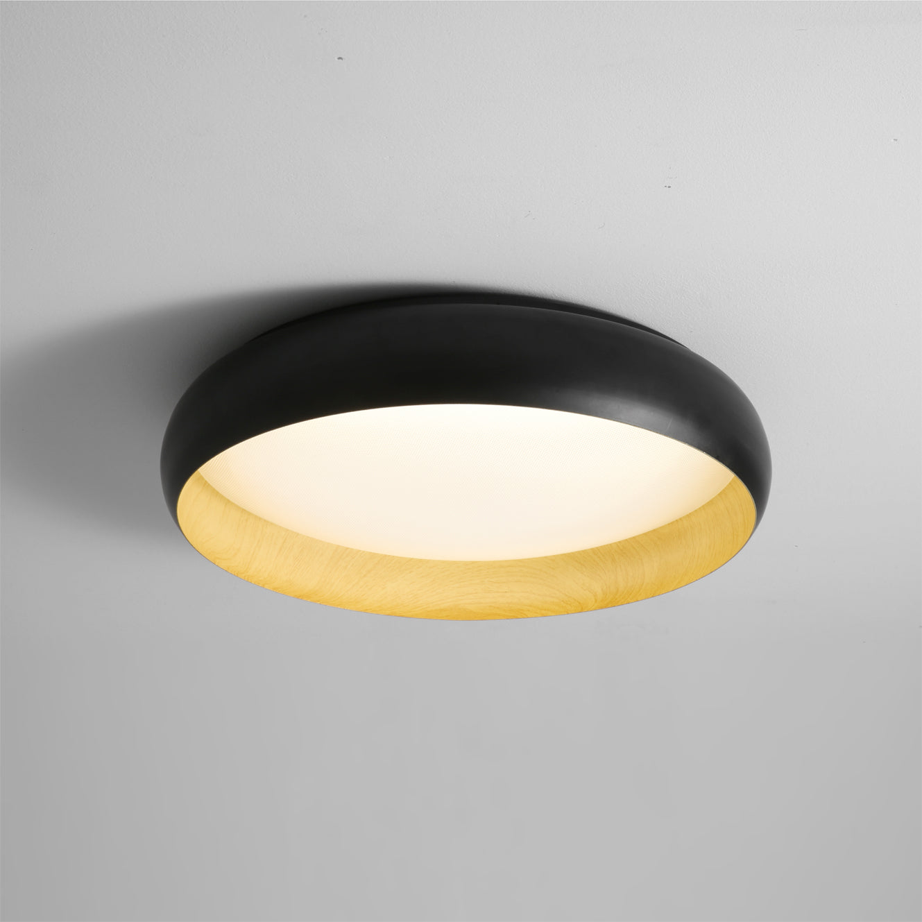 Alamus Minimalist Acrylic Ceiling Light