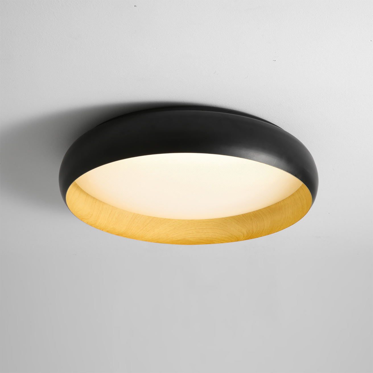 Alamus Minimalist Acrylic Ceiling Light