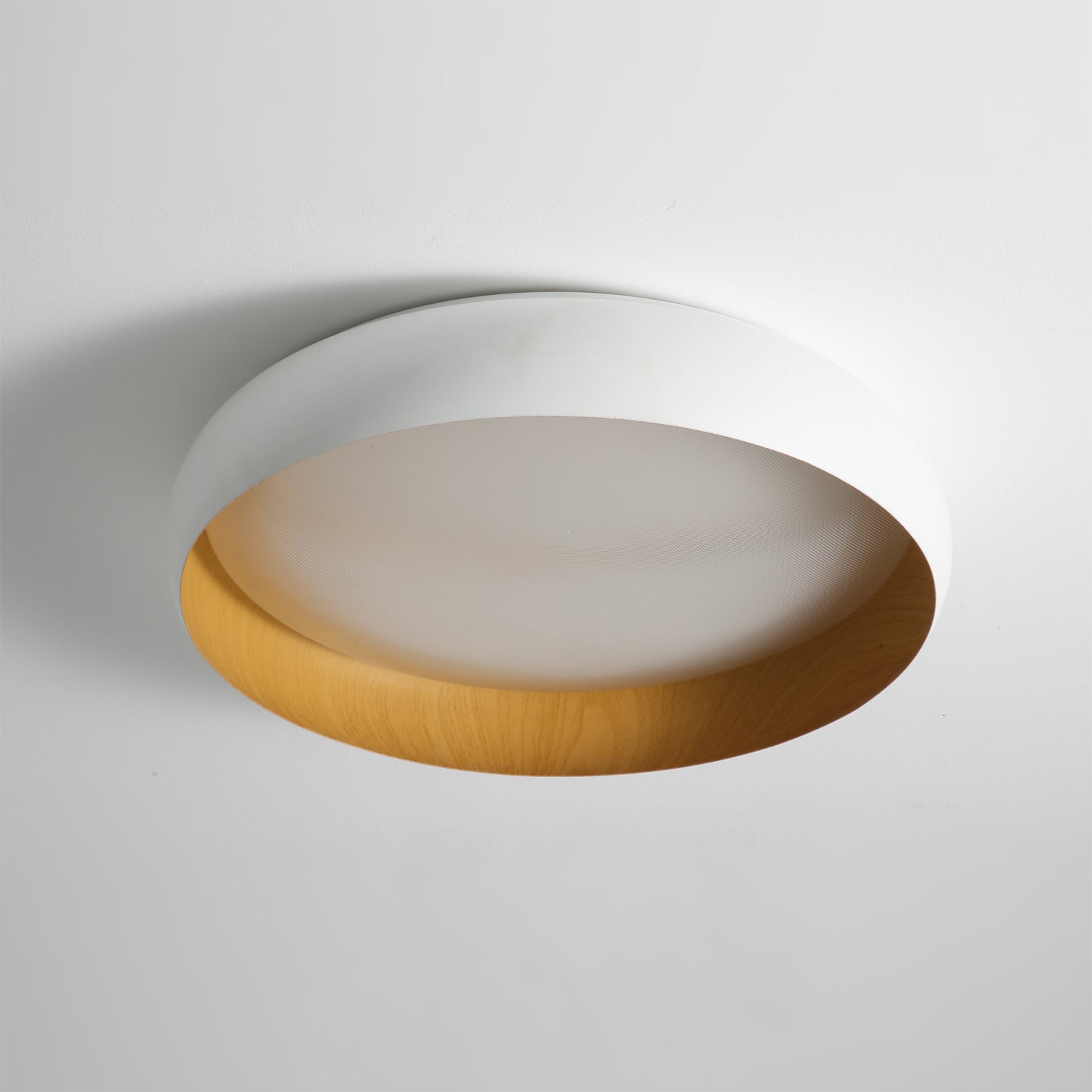 Alamus Minimalist Acrylic Ceiling Light