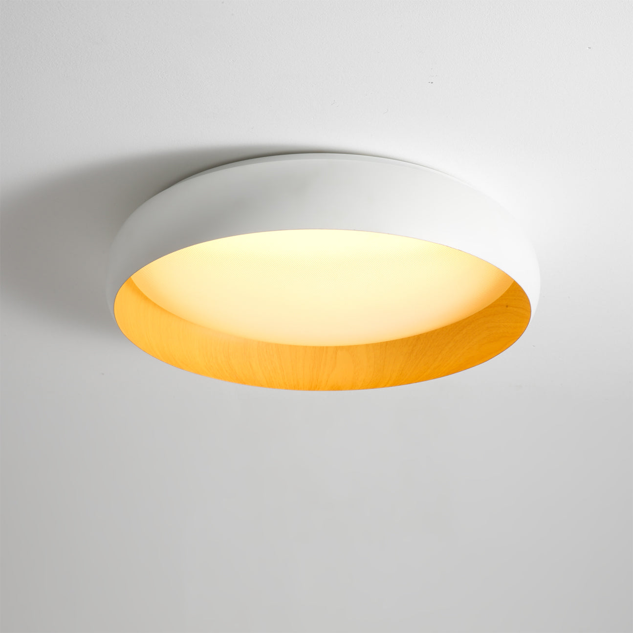 Alamus Minimalist Acrylic Ceiling Light