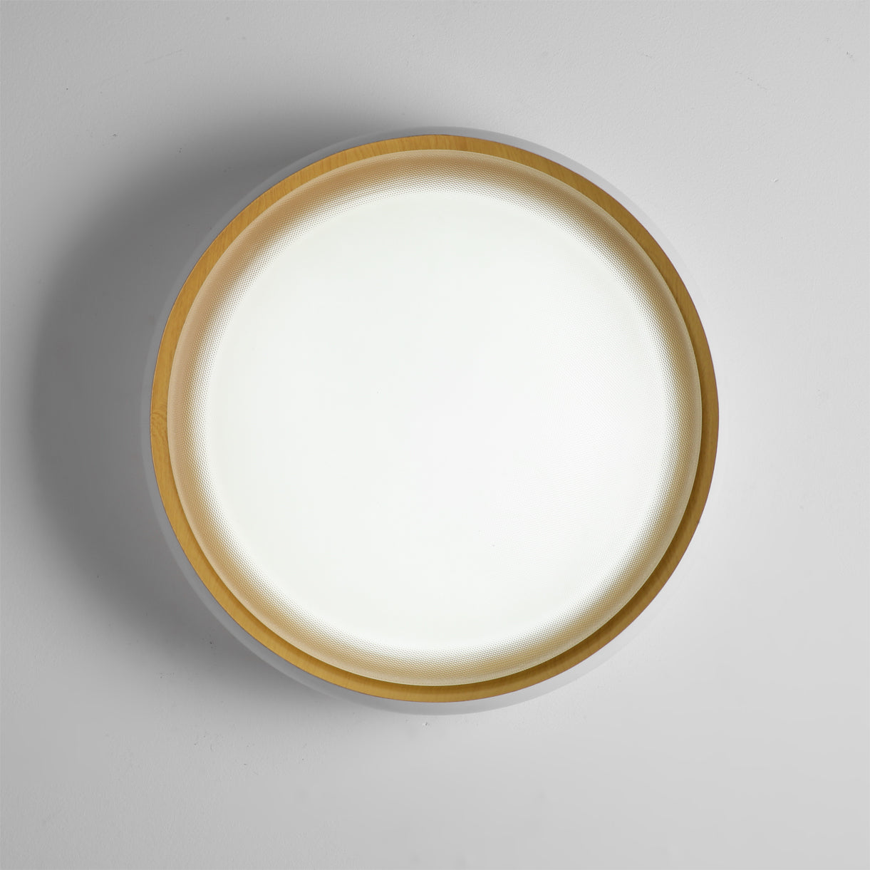 Alamus Minimalist Acrylic Ceiling Light