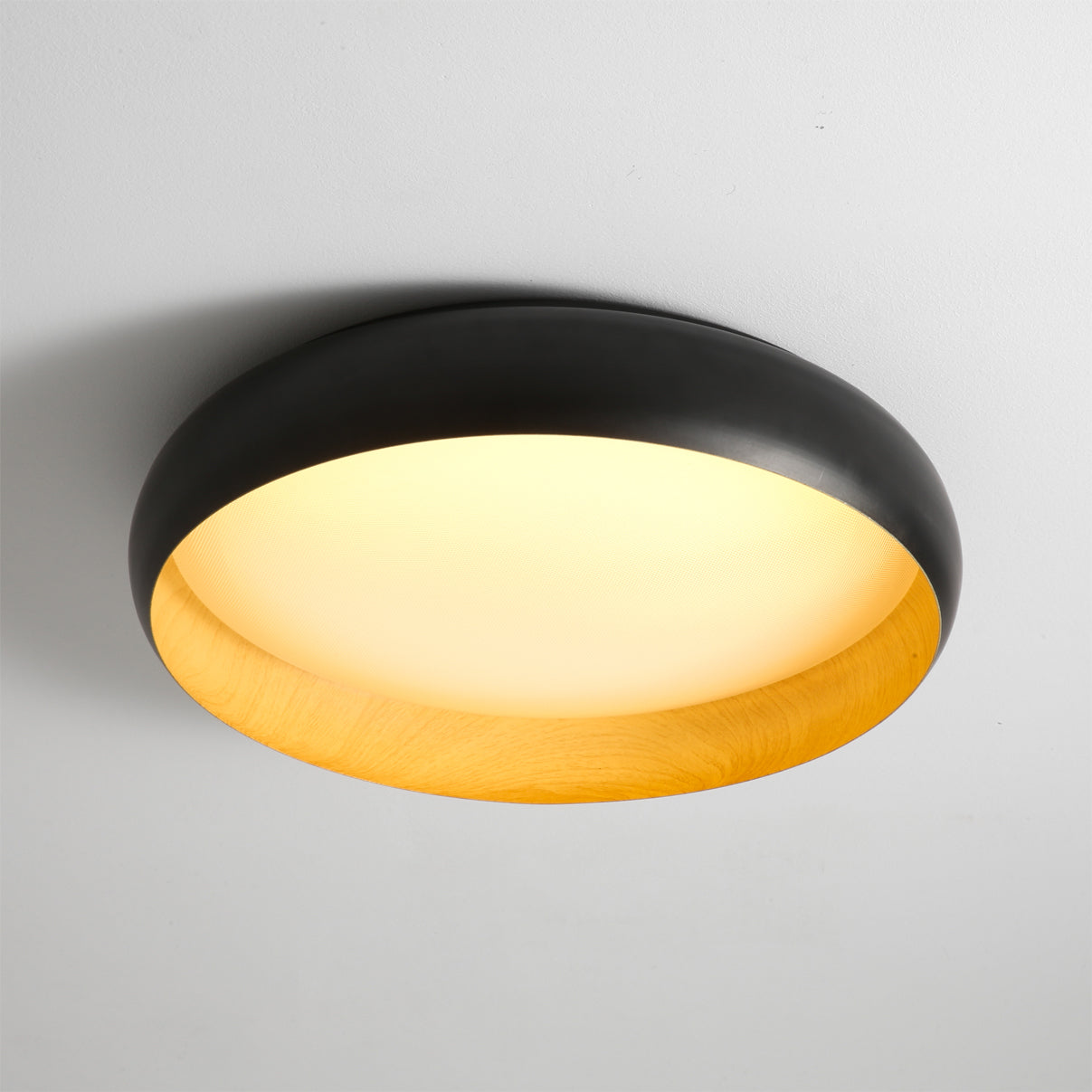 Alamus Minimalist Acrylic Ceiling Light