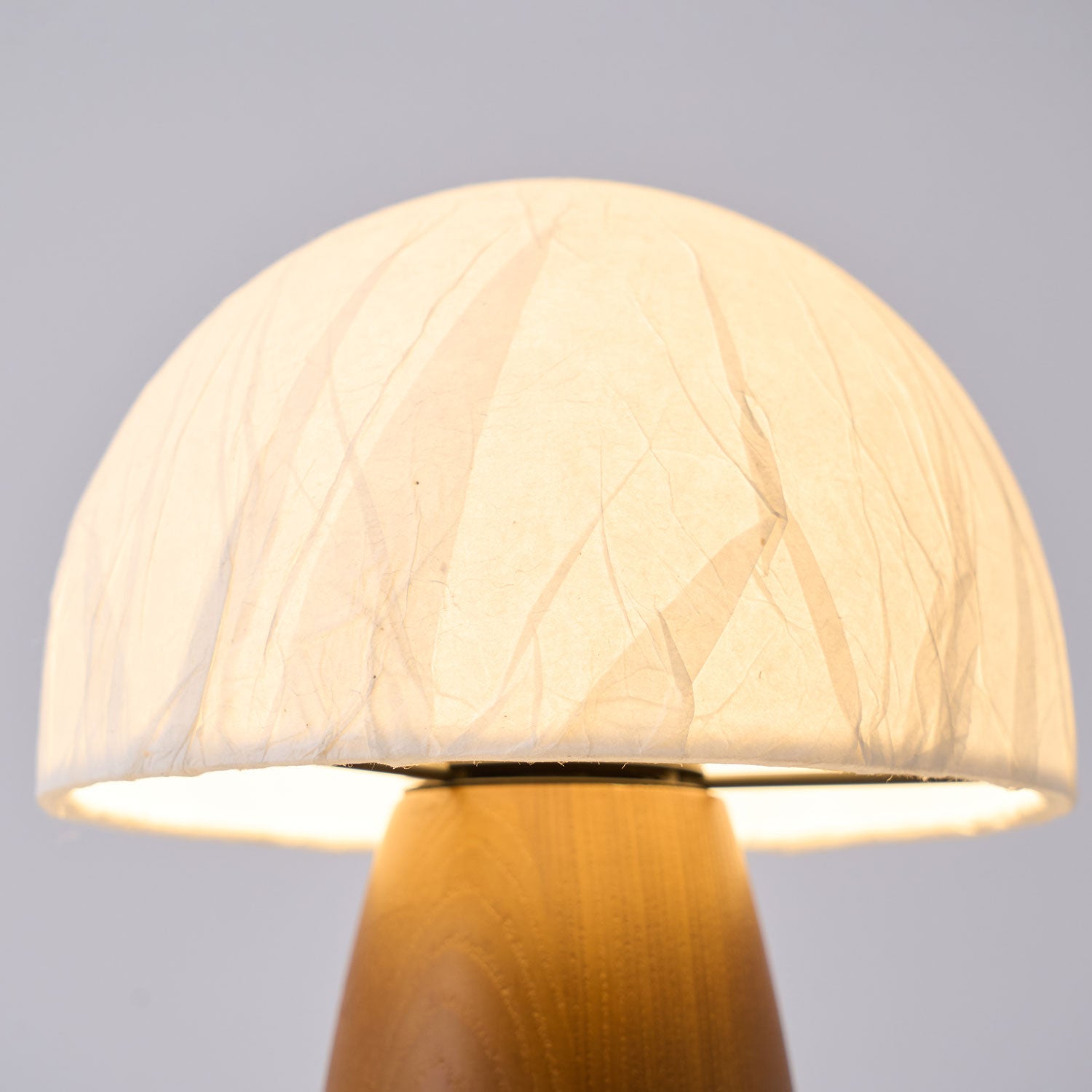 Myco Mushroom Table Lamp - Blowlighting