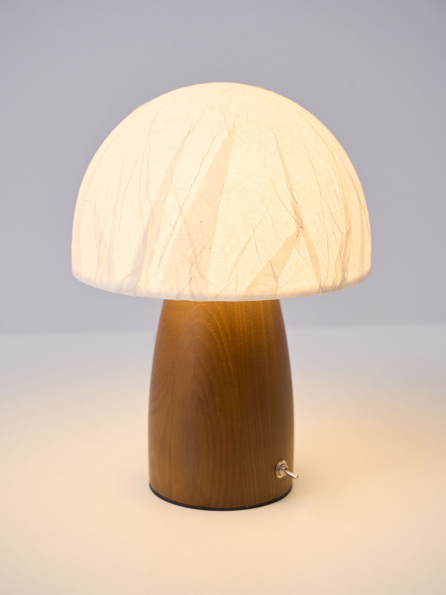 Myco Mushroom Table Lamp - Blowlighting