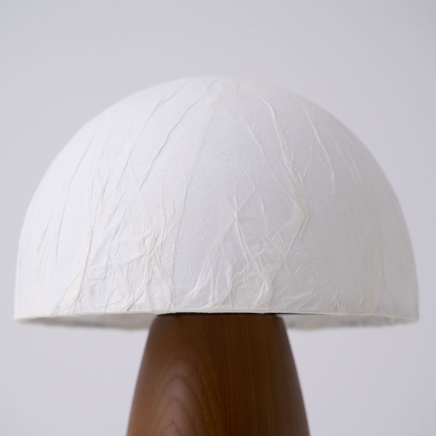 Myco Mushroom Table Lamp - Blowlighting