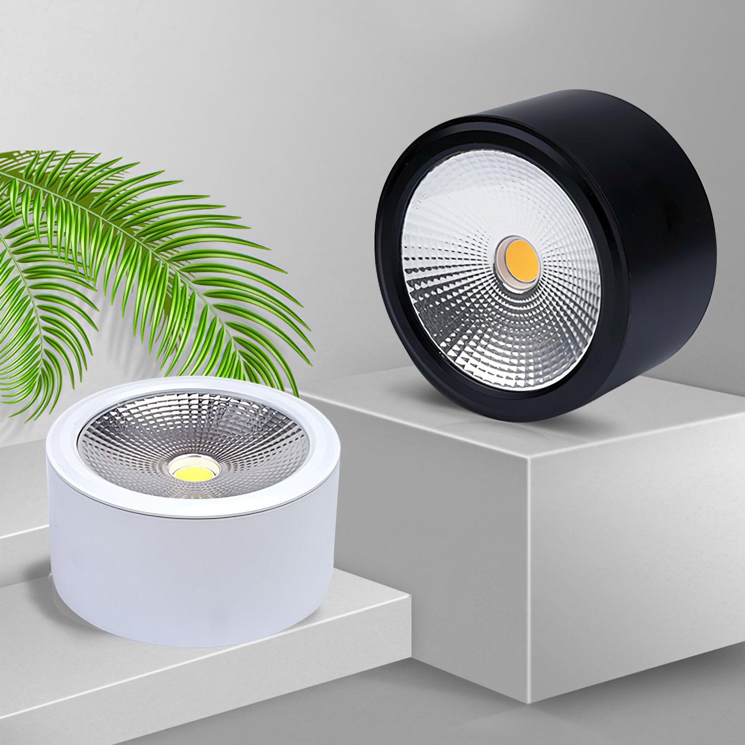 Anzio Spotlights - Blowlighting