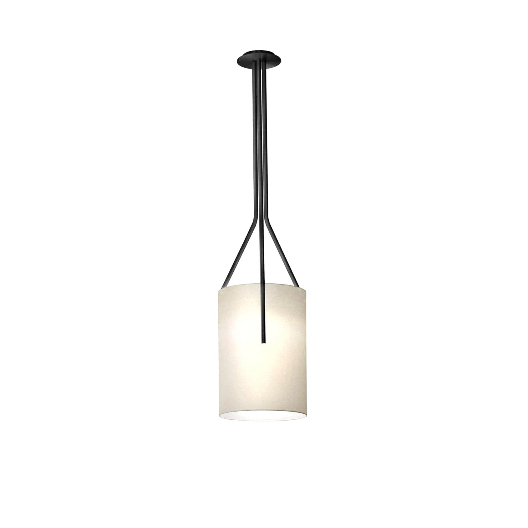 Arborescence Chandelier - Blowlighting