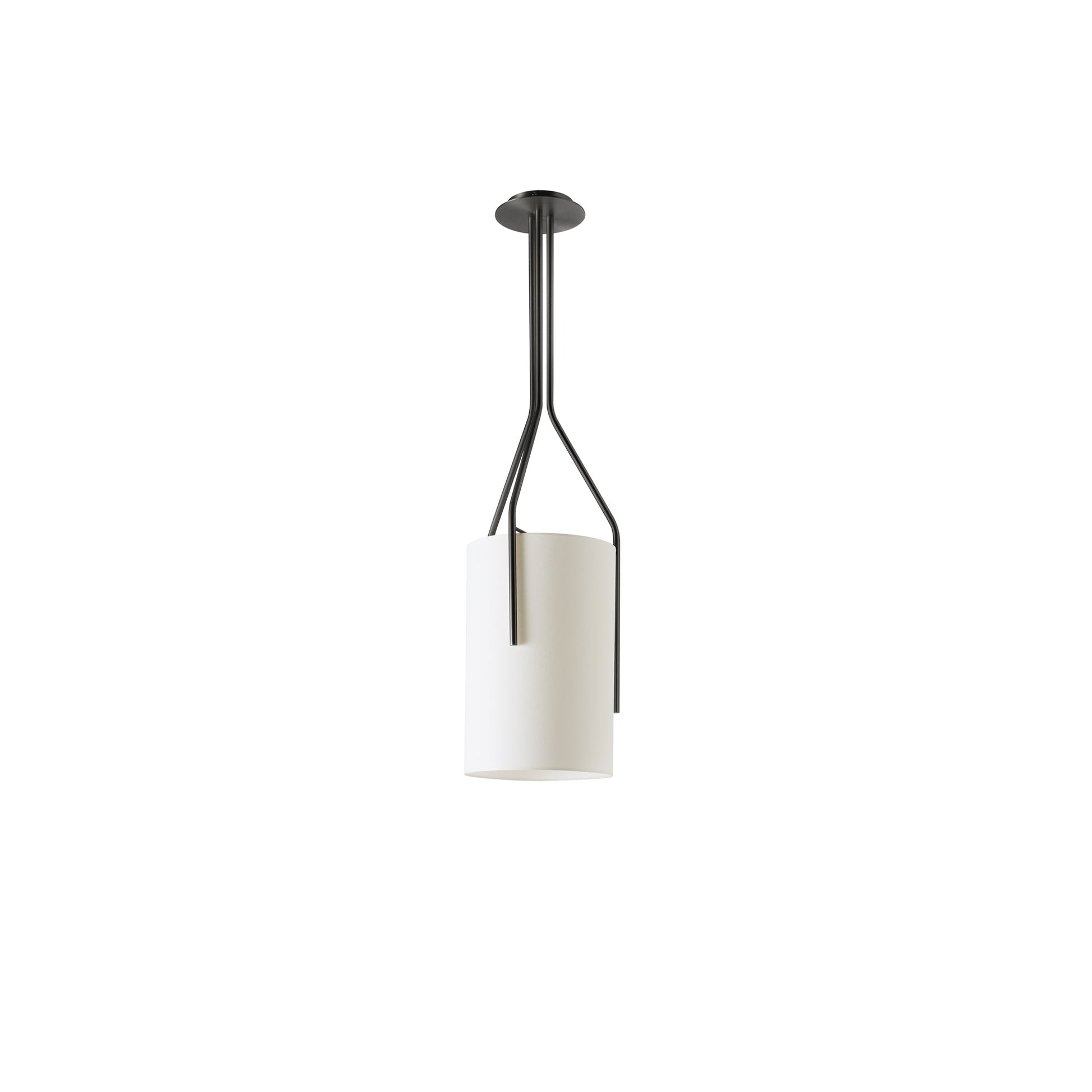 Arborescence Chandelier - Blowlighting