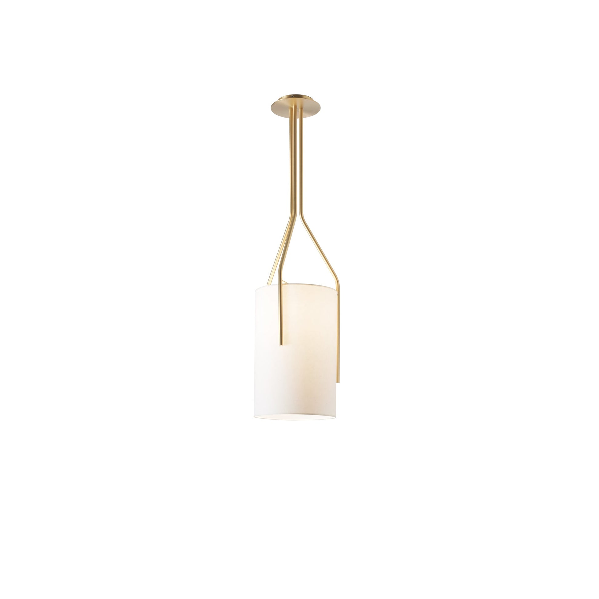 Arborescence Chandelier - Blowlighting