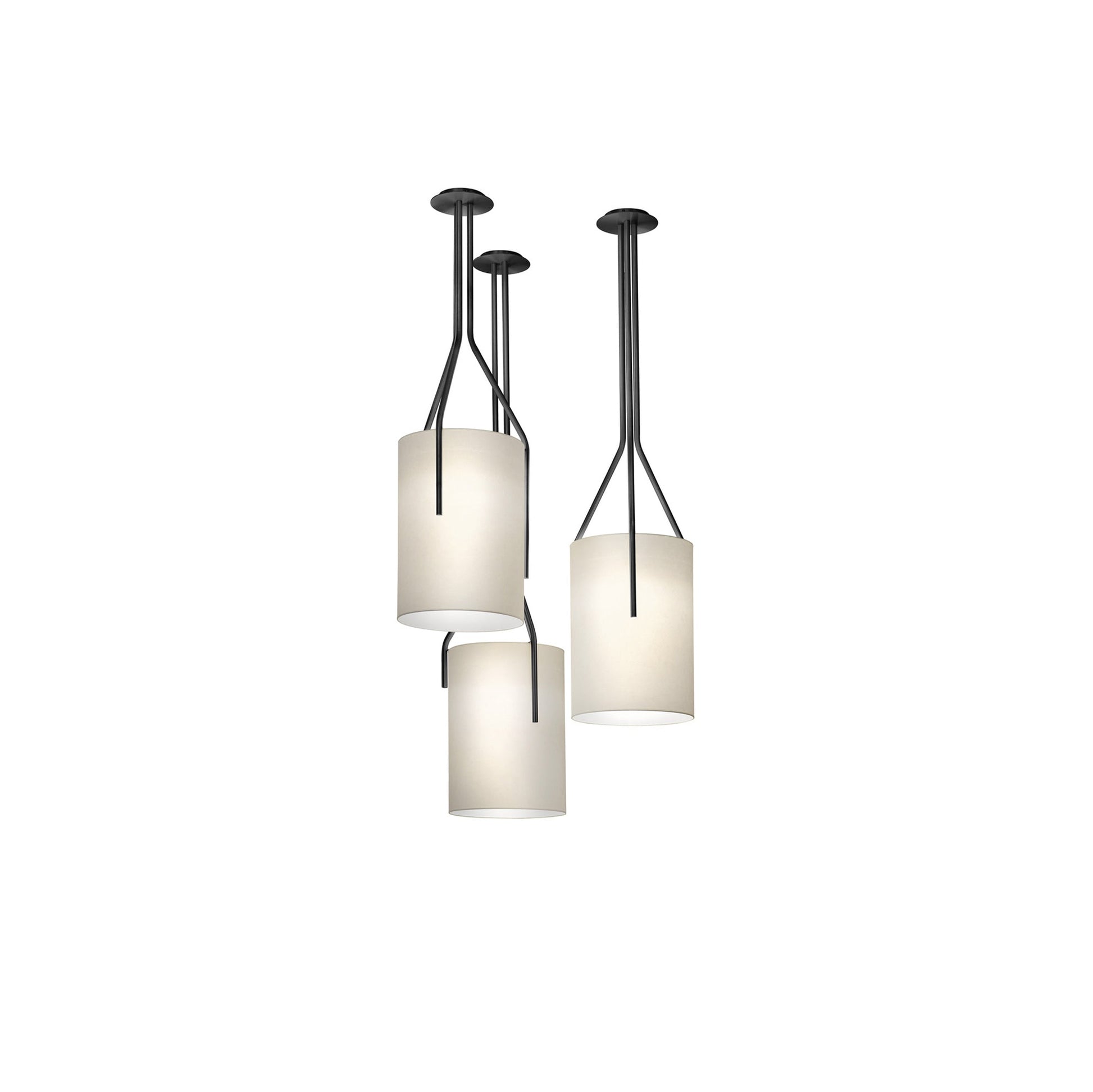 Arborescence Chandelier - Blowlighting