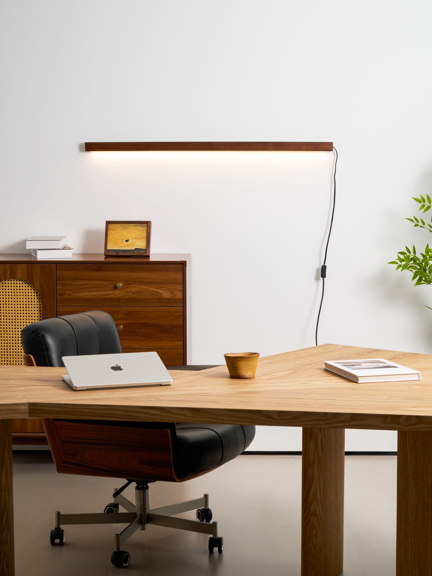Arlo Linear Wood Plug-in Wall Light - Blowlighting