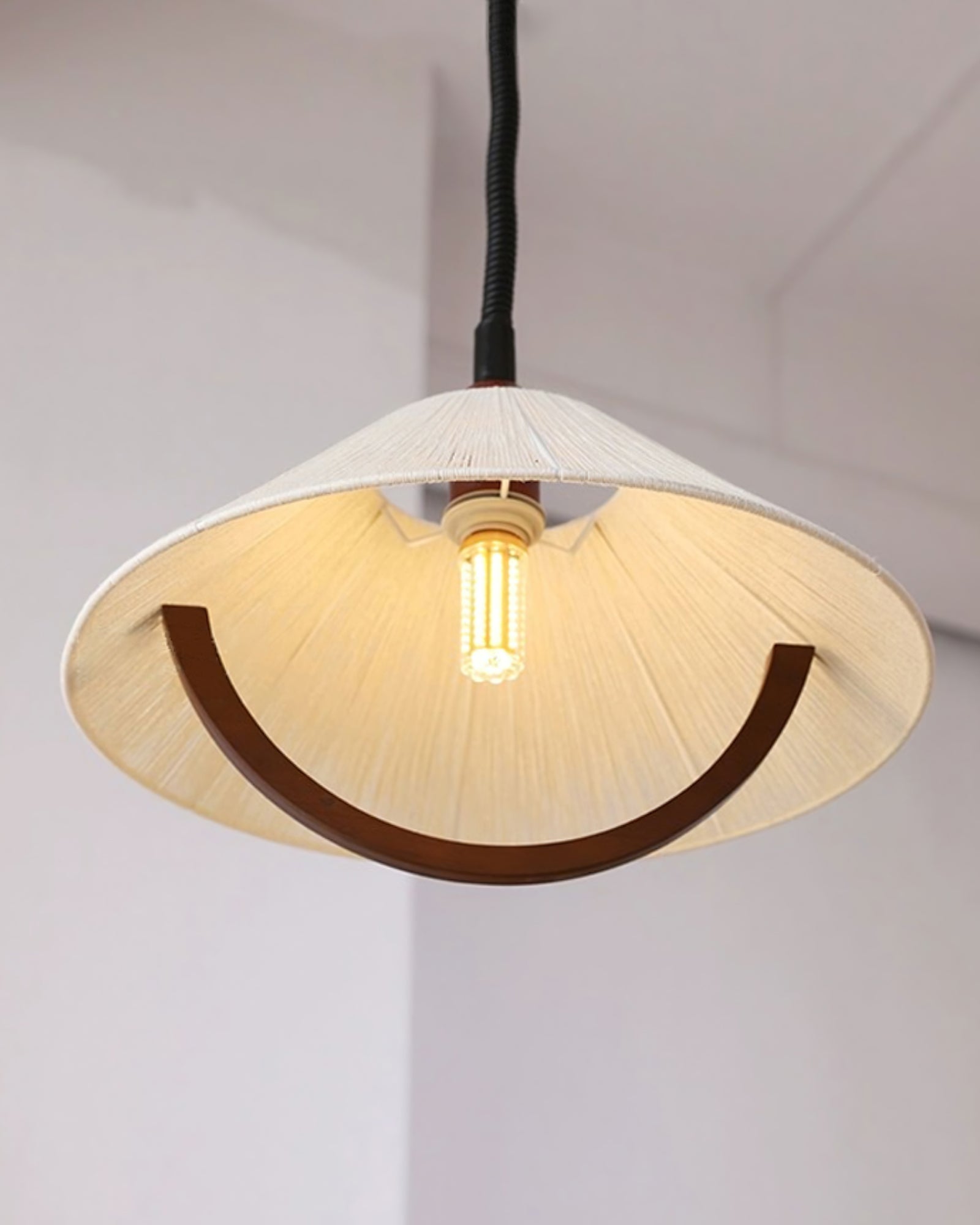 Arta Pendant Lamp - Blowlighting
