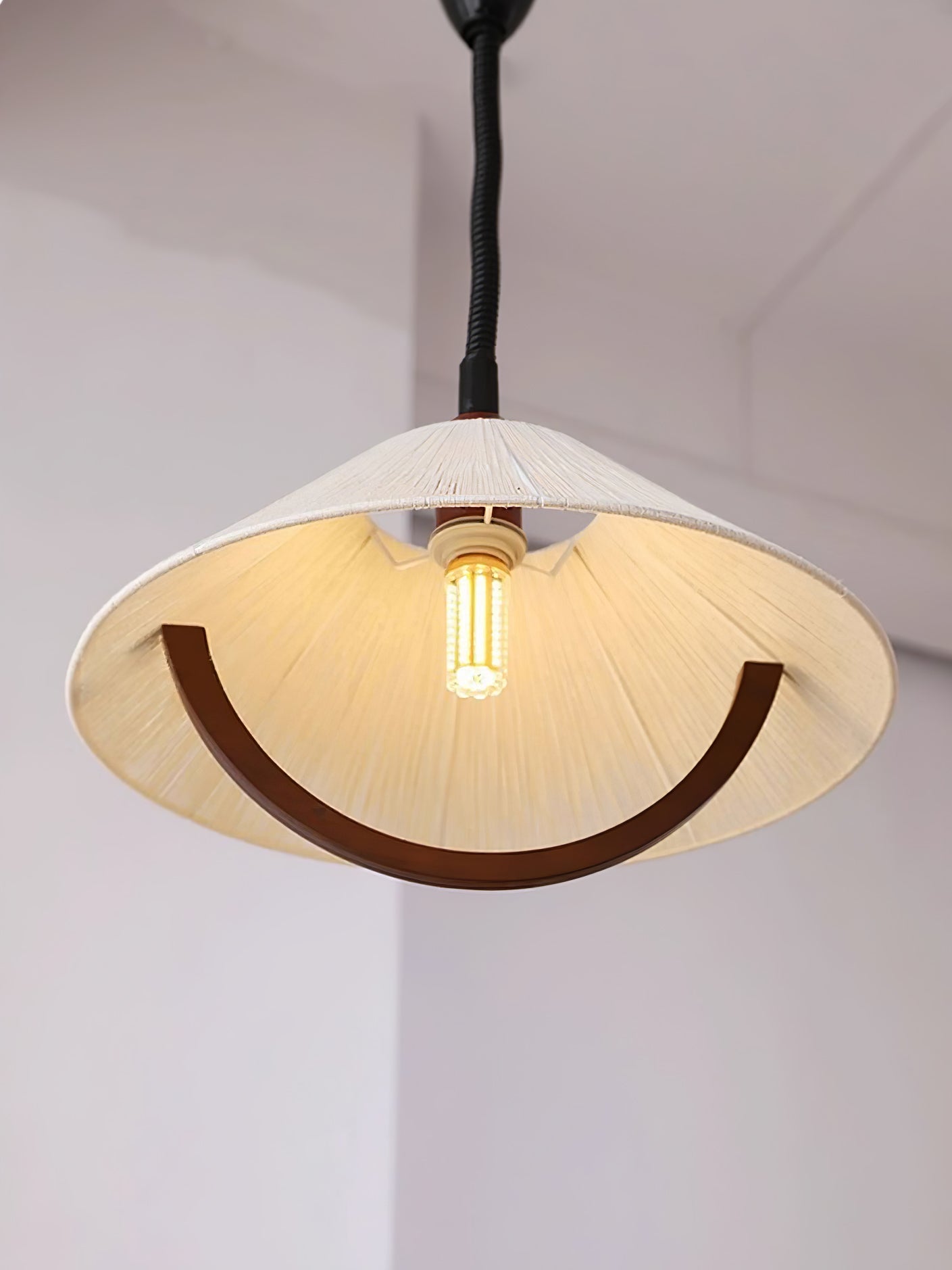 Arta Pendant Lamp - Blowlighting