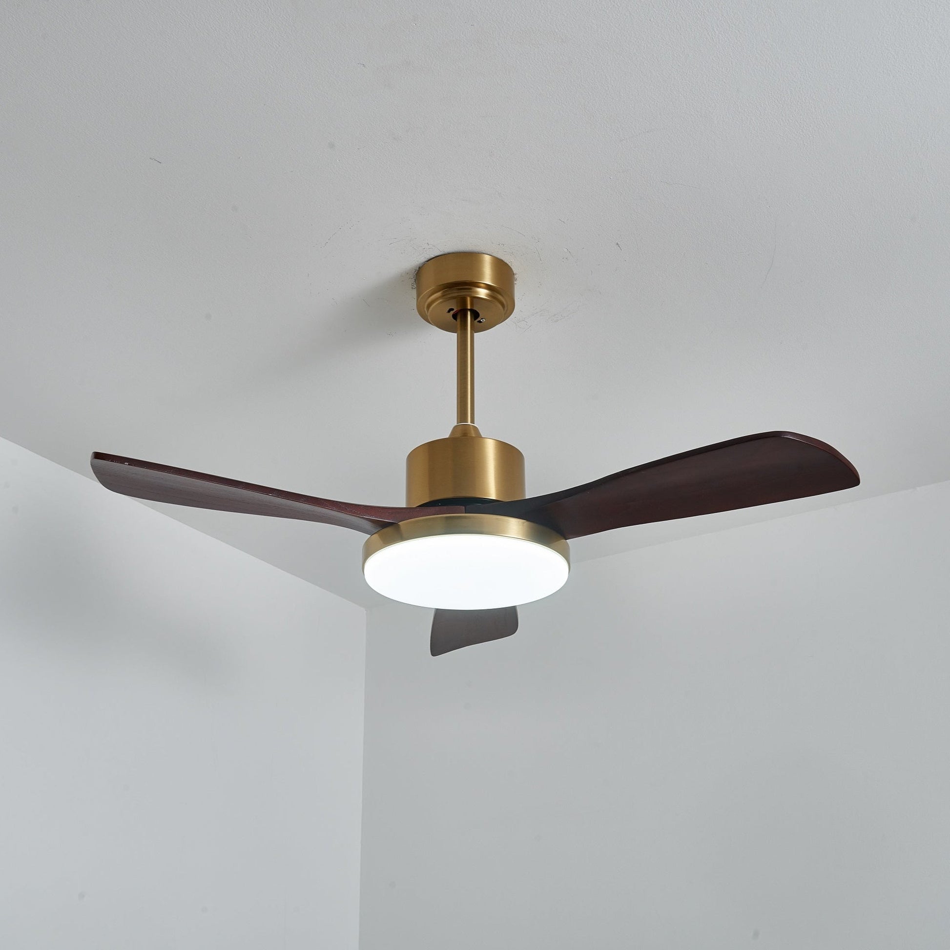 Aurelia Modern Wood Ceiling Fan Light - Blowlighting