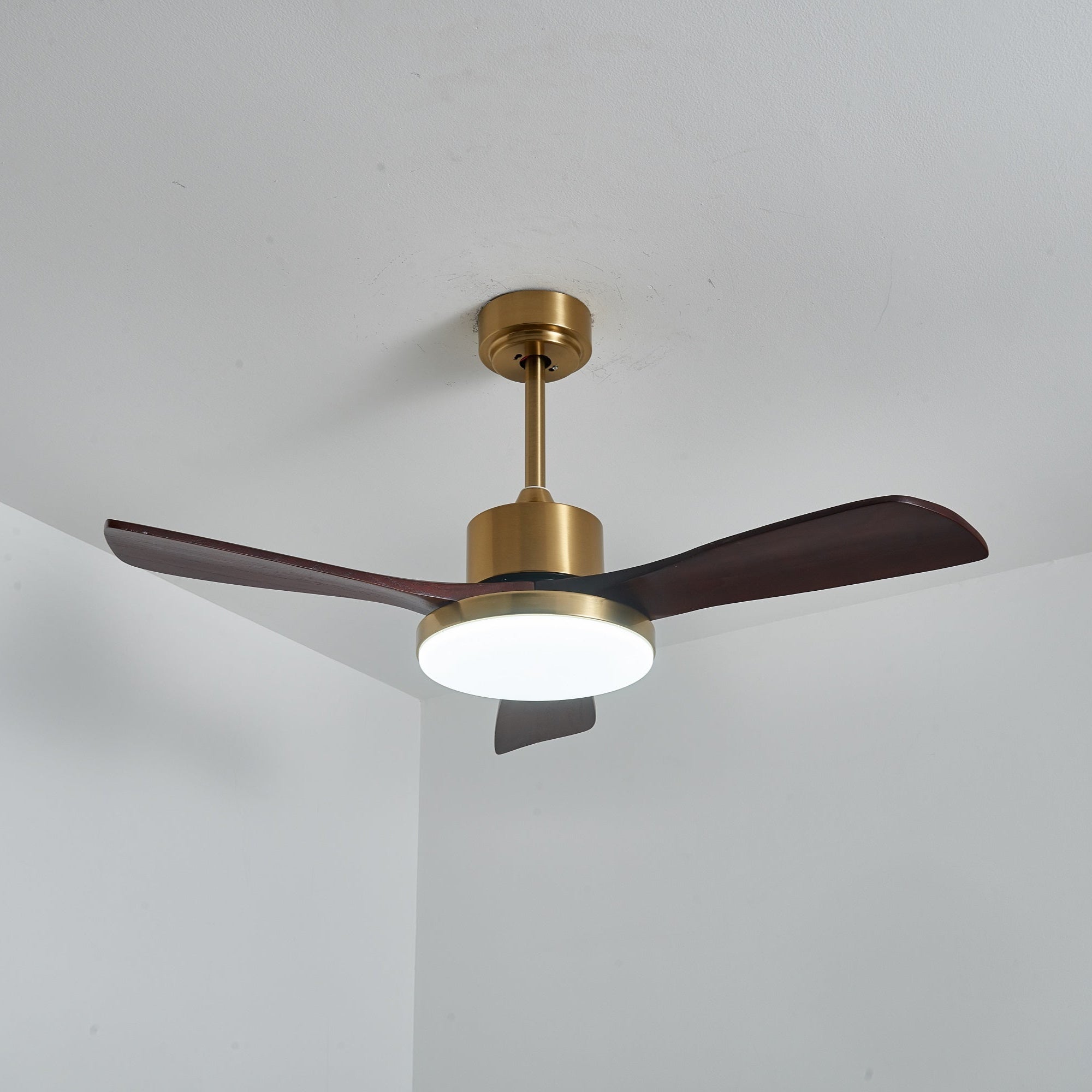 Aurelia Modern Wood Ceiling Fan Light - Blowlighting