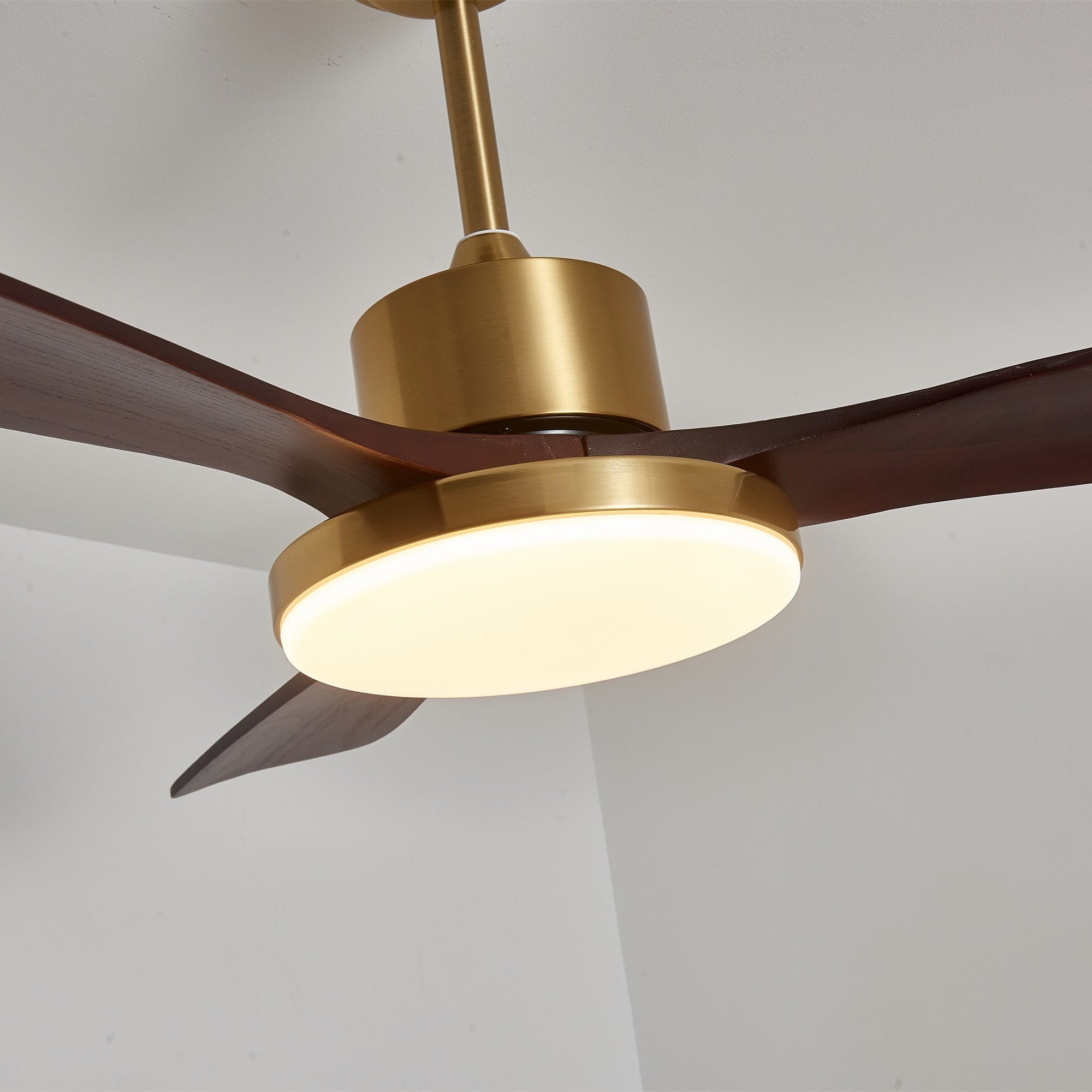 Aurelia Modern Wood Ceiling Fan Light - Blowlighting