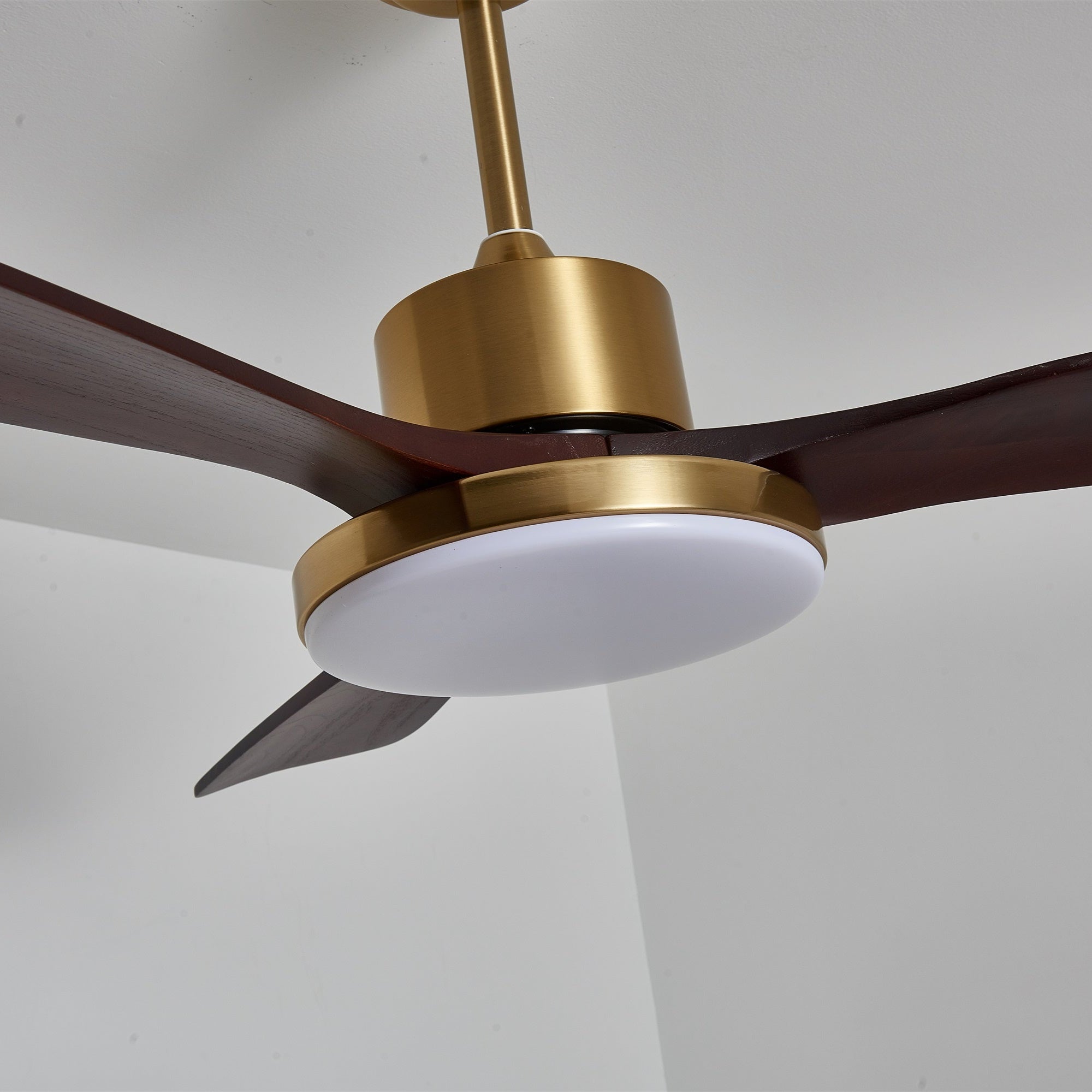 Aurelia Modern Wood Ceiling Fan Light - Blowlighting