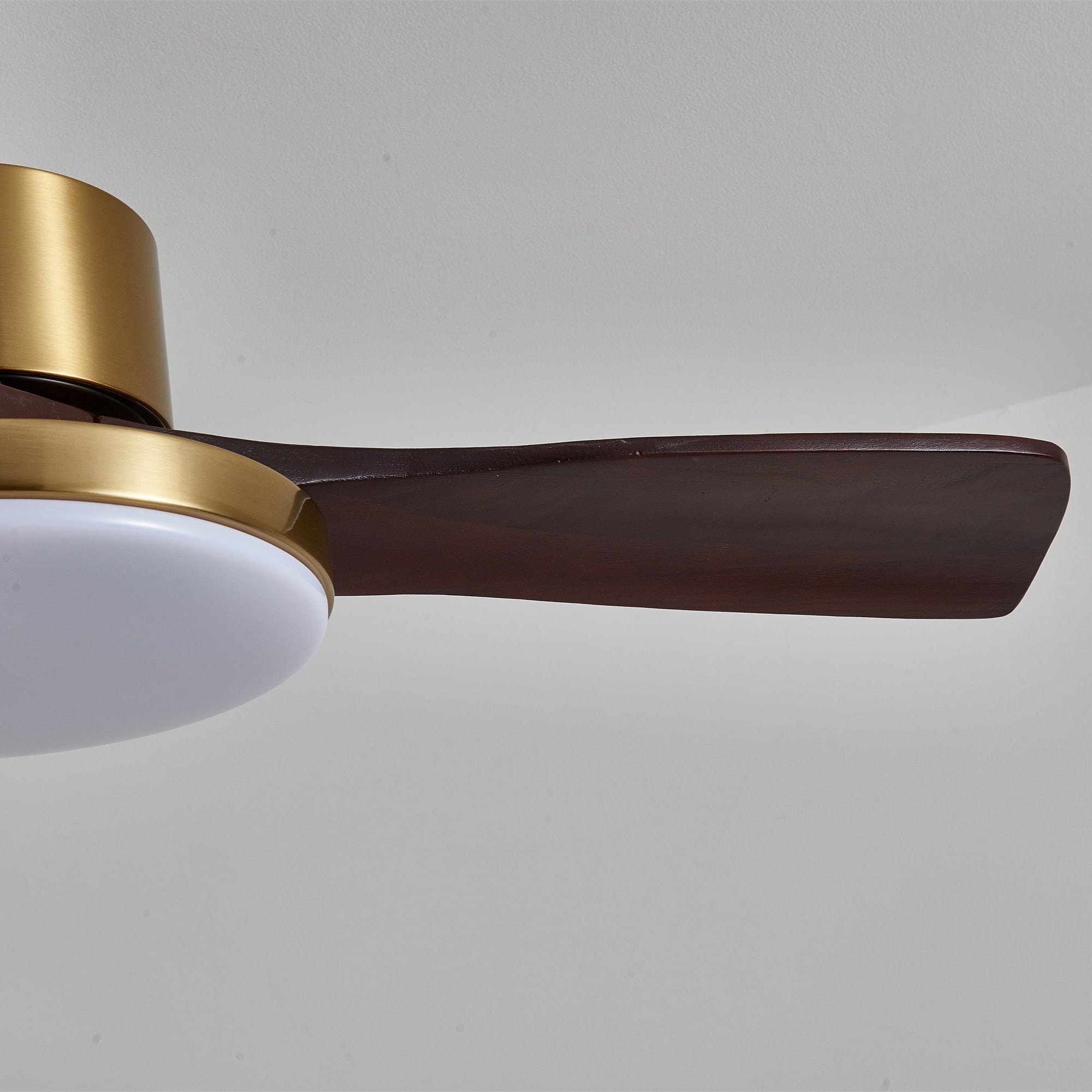 Aurelia Modern Wood Ceiling Fan Light - Blowlighting