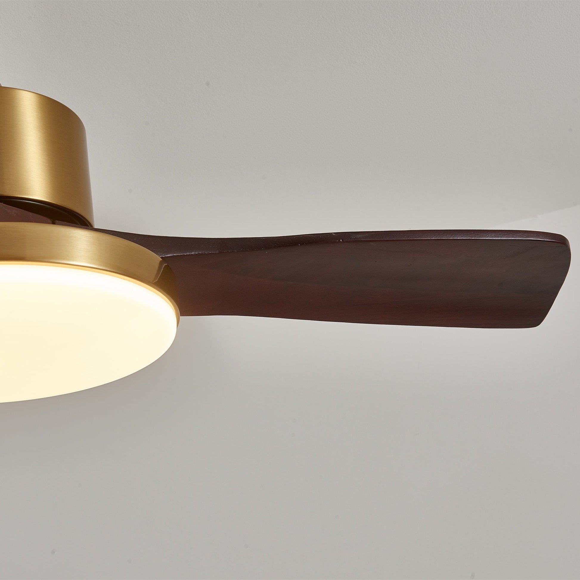 Aurelia Modern Wood Ceiling Fan Light - Blowlighting