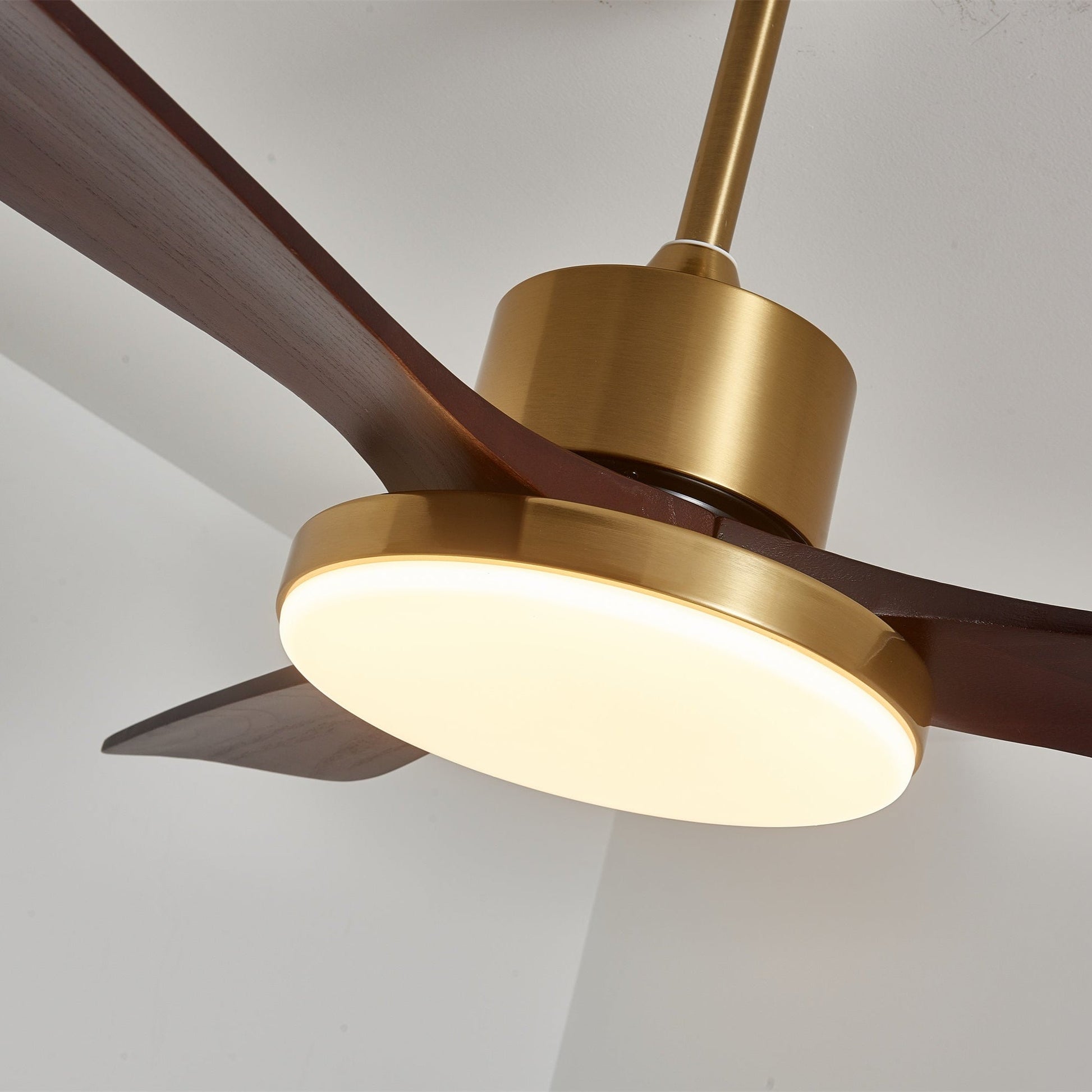Aurelia Modern Wood Ceiling Fan Light - Blowlighting