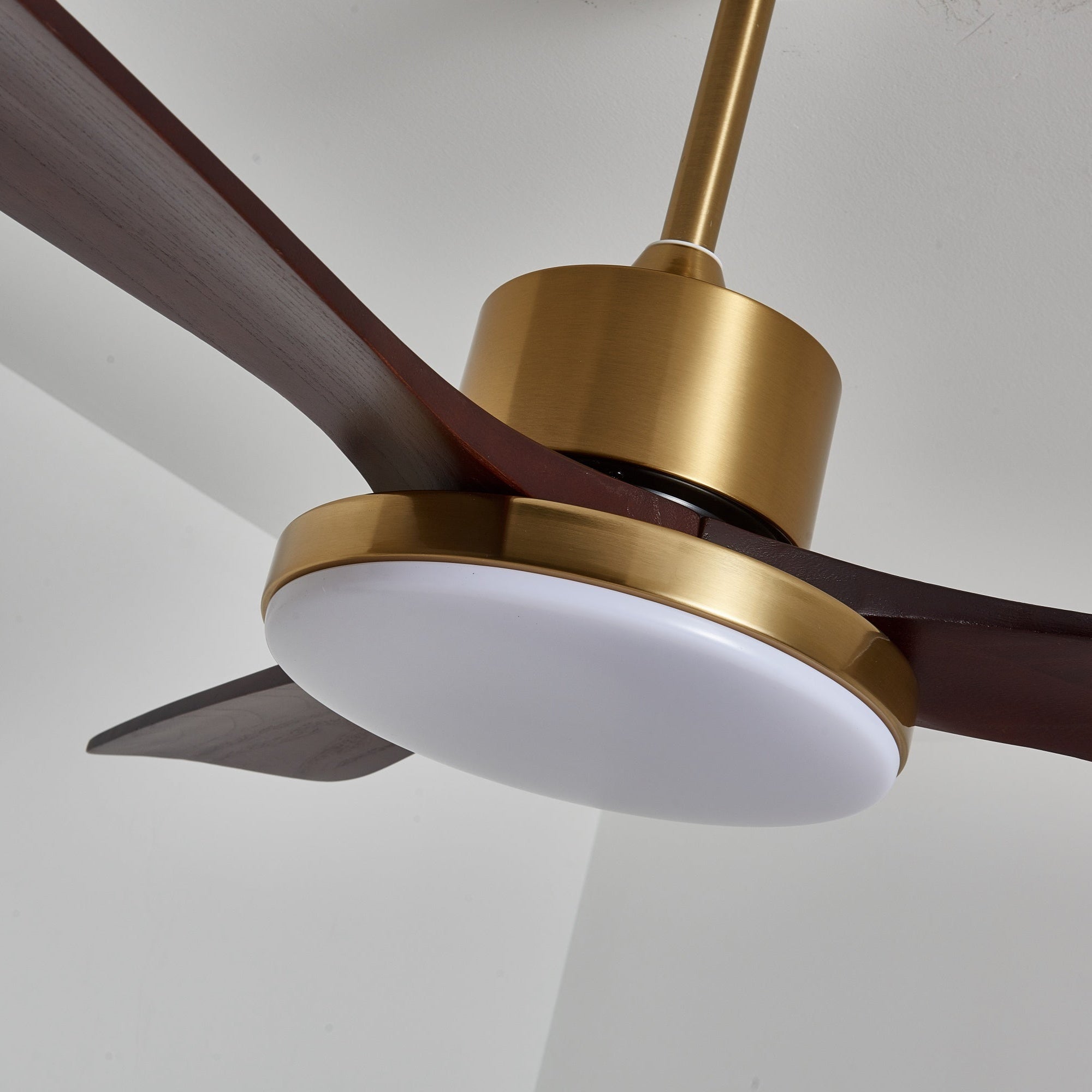 Aurelia Modern Wood Ceiling Fan Light - Blowlighting